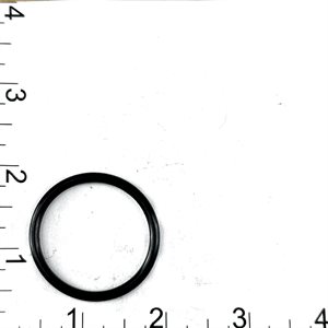 O Ring (16M41 / 32M31)